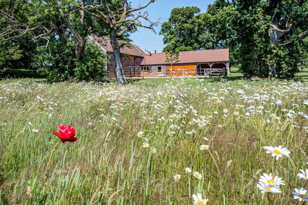 South Park Farm Barn Acomodação com café da manhã Andover Exterior foto