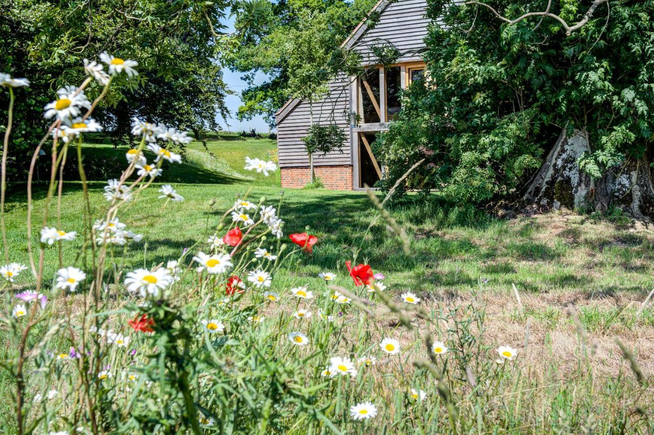 South Park Farm Barn Acomodação com café da manhã Andover Exterior foto